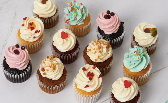 Mini Cupcake Tray